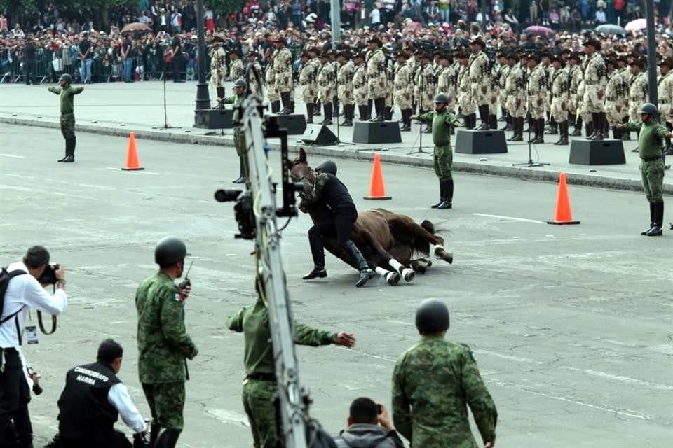 Un jinete del equipo ecuestre de la Sedena cayó durante exhibición en el Zócalo en el marco del festejo por el Aniversario de la Revolución.