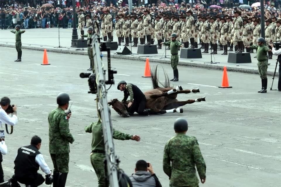Un jinete del equipo ecuestre de la Sedena cayó durante exhibición en el Zócalo en el marco del festejo por el Aniversario de la Revolución.