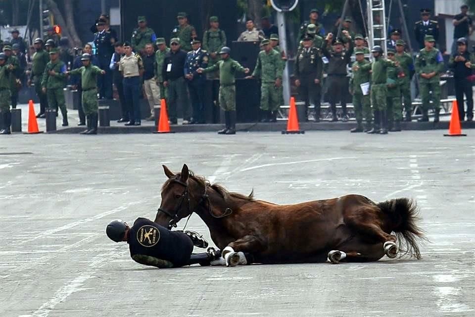 Un soldado de caballería tuvo que ser atendido en el Hospital Central Militar debido a la lesión que sufrió tras caer de un caballo.