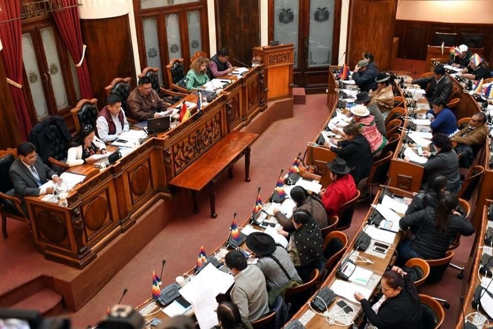 La Cámara de Diputados de Bolivia discutió este sábado el proyecto de ley.