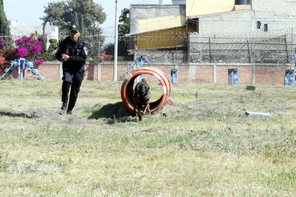En la base de los Zorros, en Tláhuac, la Unidad Canina cuenta con un espacio apropiado para el entrenamiento de los perros.