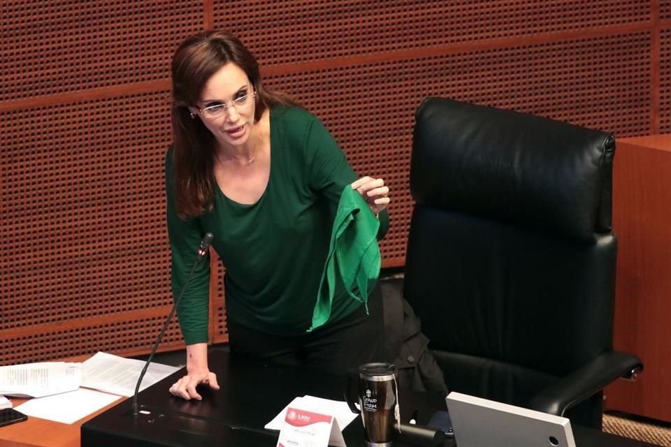 En diciembre, la CNHJ ordenó al coordinador de Morena en el Senado, Ricardo Monreal, expulsar a Téllez de la fracción parlamentaria por no respetar los valores y principios del partido.