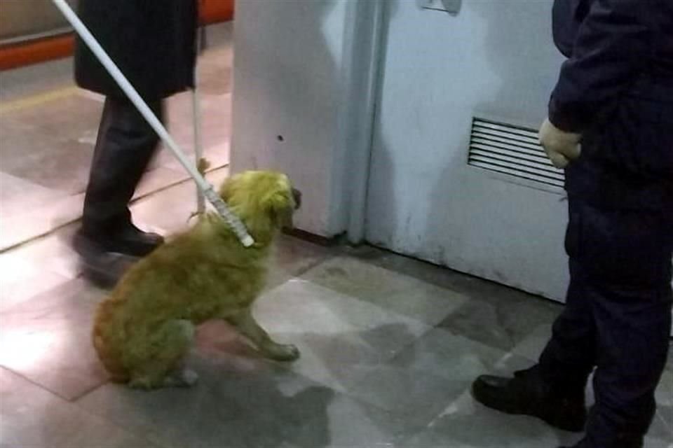 Un corte de energía de 17 minutos en vías de la Línea B del Metro fue necesario para rescatar a un perrito que estaba en las vías.