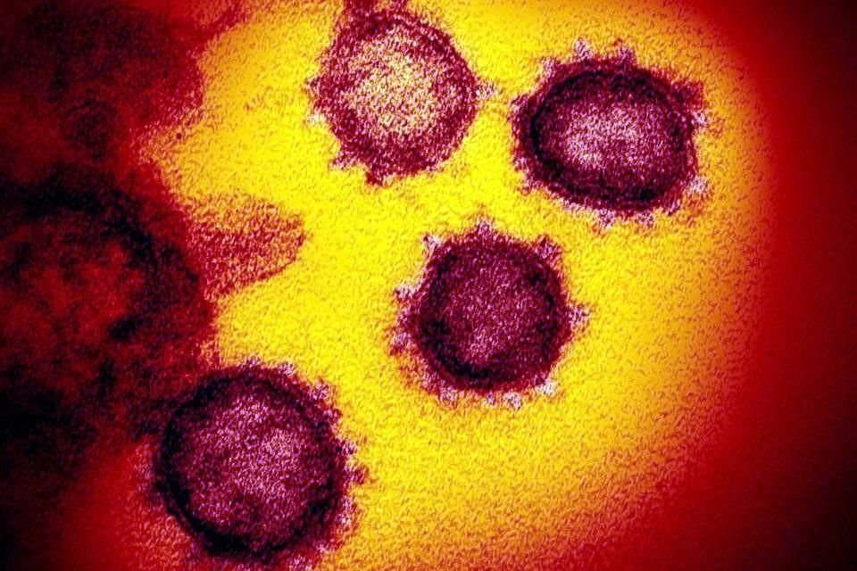 La Secretaría de Salud federal reportó 5 nuevos casos de coronavirus en Jalisco.