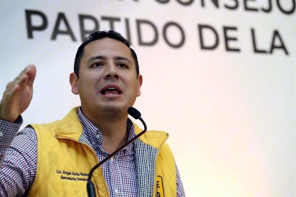 Ángel Ávila dijo que se rompería el orden legal y democrático que hay en la Cámara alta y generaría un 'pésimo antecedente'.