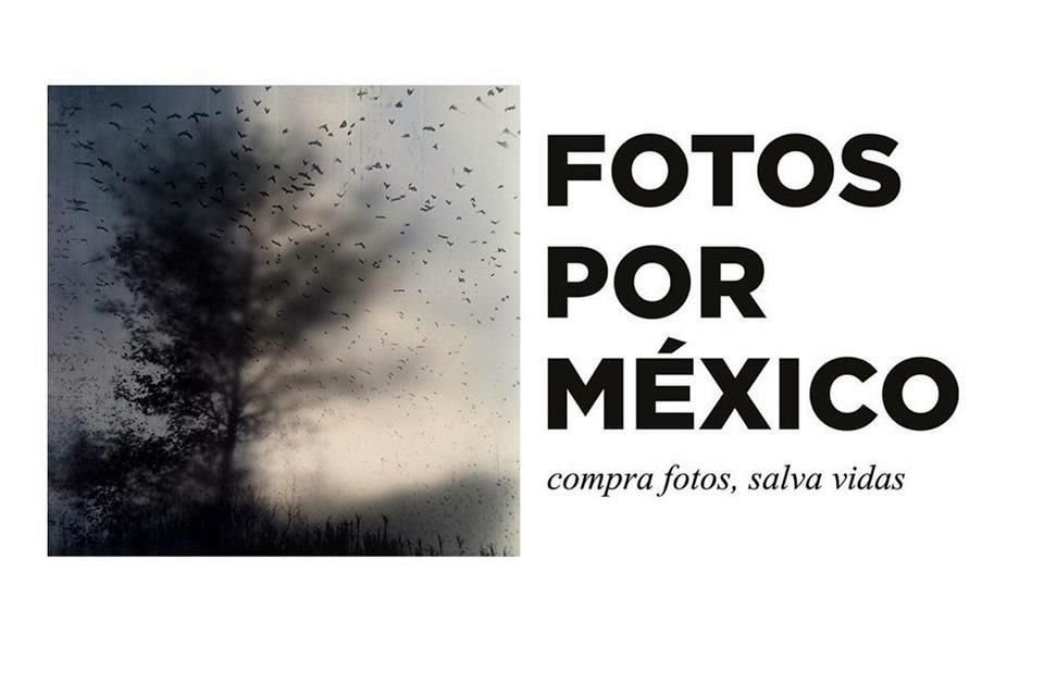 Campaña de la iniciativa Fotos por México