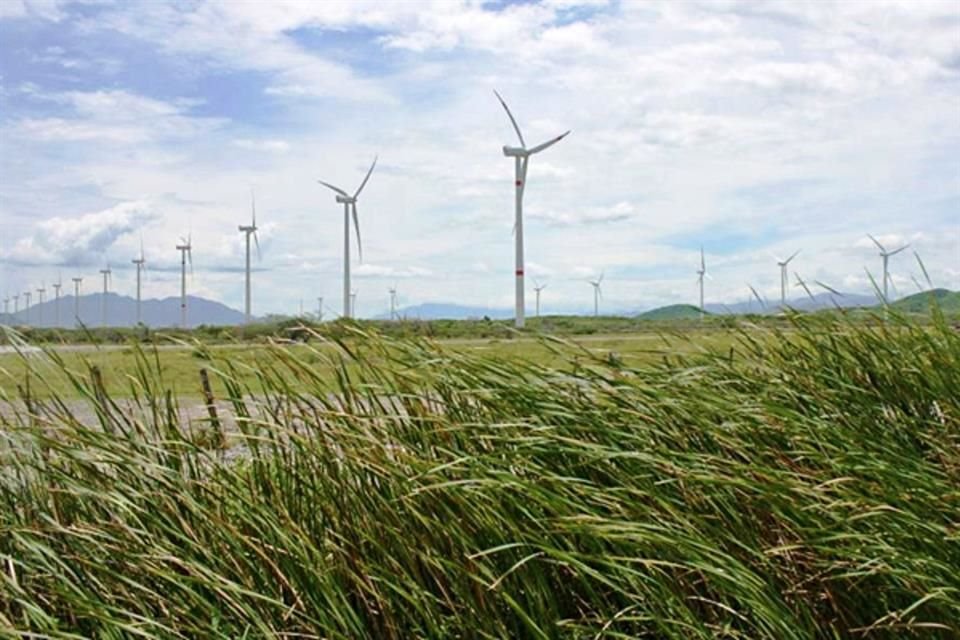 La CFE dijo que en los últimos 3 años la insuficiencia de esta tarifa a renovables le representó una caída en ingresos por 22 mil 820 millones de pesos. 