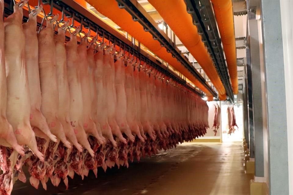 En mayo de 2019, la Sader aceleró la gestión del protocolo de exportación de carne fresca de porcino y carne con hueso de bovino a China.