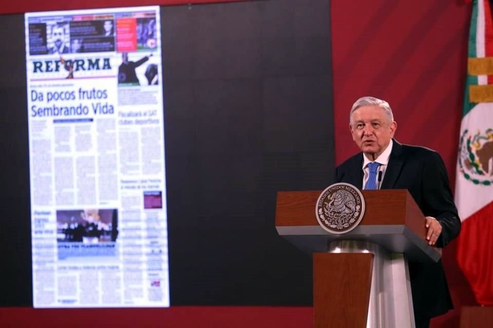 El Presidente López Obrador reconoció dificultades en el programa Sembrando Vida debido a las características del trabajo en el campo.