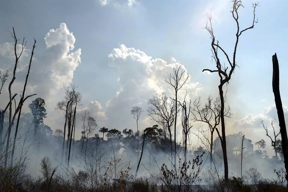 Vista de una zona de la Amazonía brasileña consumida por los incendios de 2019.