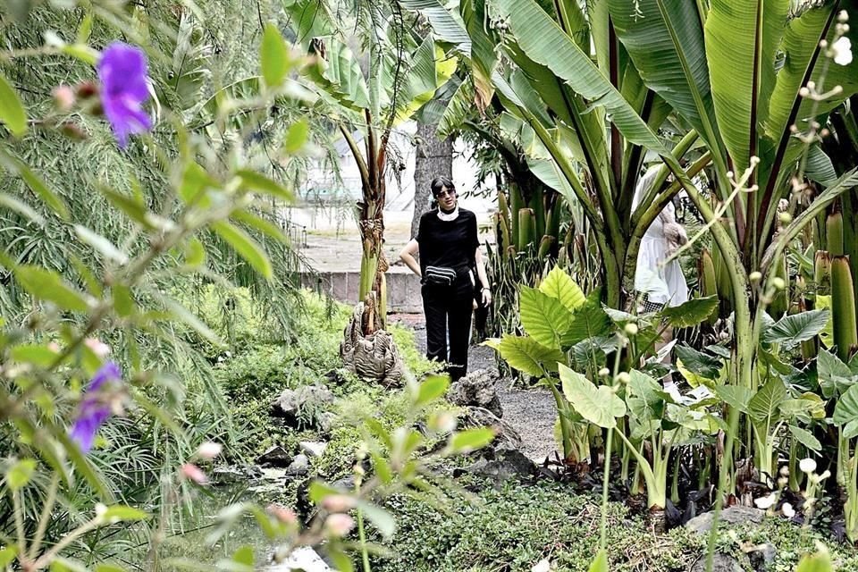 Buscamos darle a Chapultepec un jardín botánico digno, ampliado y fortalecido, asegura Gabriel Orosco. 