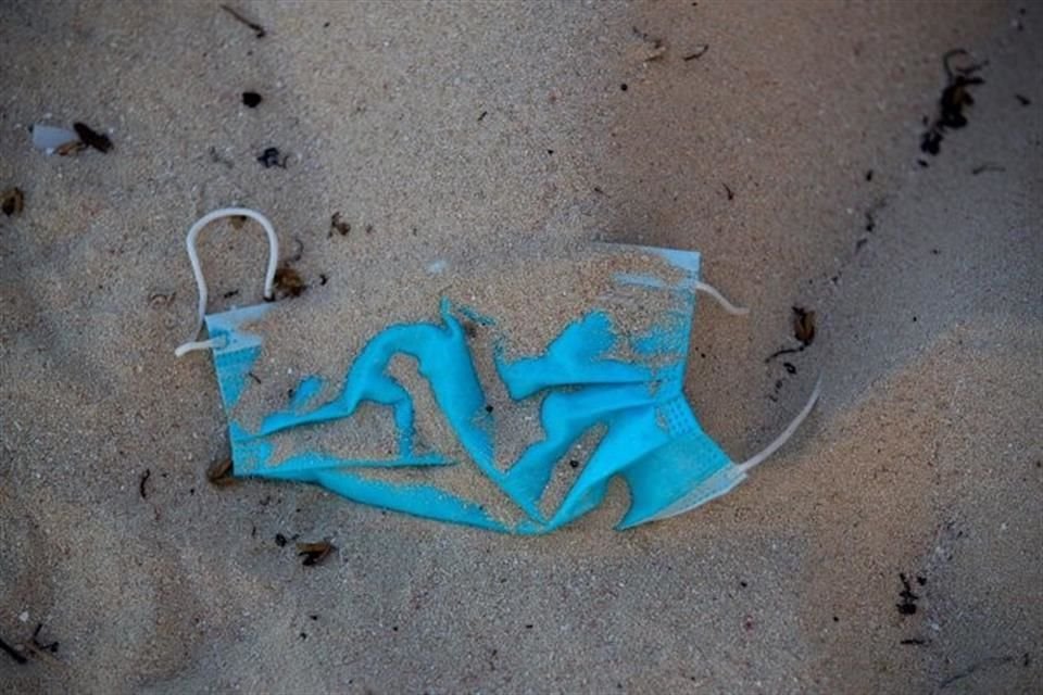 Los cubrebocas son un nuevo tipo de basura que contamina las playas de Cancún, Solidaridad y Playa del Carmen, advierten ambientalistas.