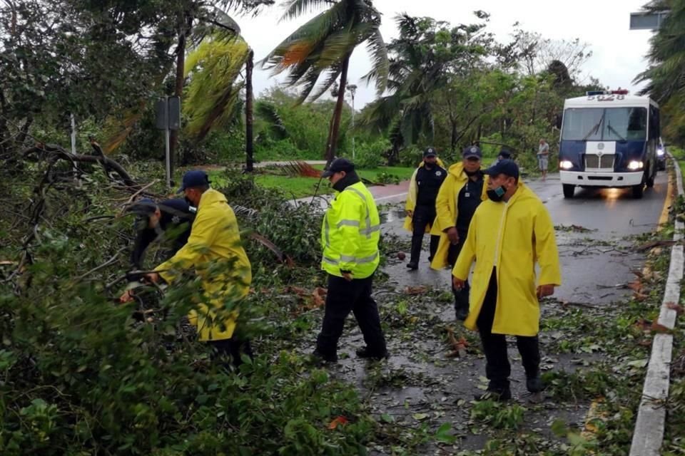 En calles de la zona hotelera de Cancún, autoridades intentan retirar los árboles caídos.