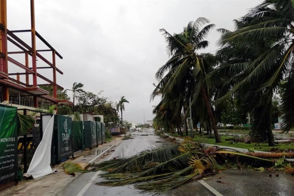 Palmeras derribadas por el paso de 'Delta' bloquean el paso vehicular en la zona hotelera de Cancún.