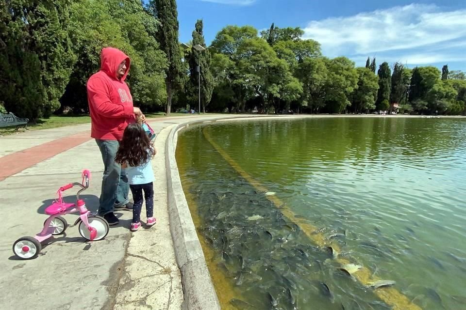 La Secretaría de Medio Ambiente aprovechó para insistir a los visitantes que no alimenten a los peces en los lagos.
