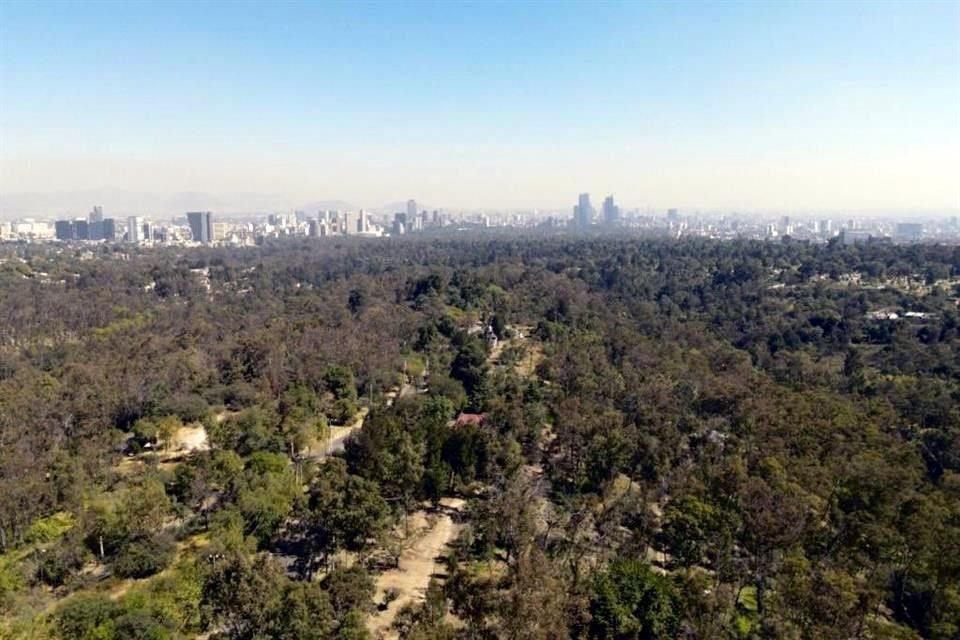 'Para no devolver a la Secretaría de Hacienda y Crédito Público (SHCP) este dinero, la Secretaría de Obras aprobó estas licitaciones innecesarias para Chapultepec', indicó Pablo Gaytán.