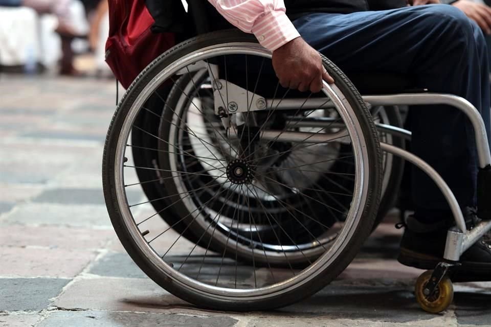 Seis de los 300 distritos de mayoría deberán ser para personas con discapacidad.