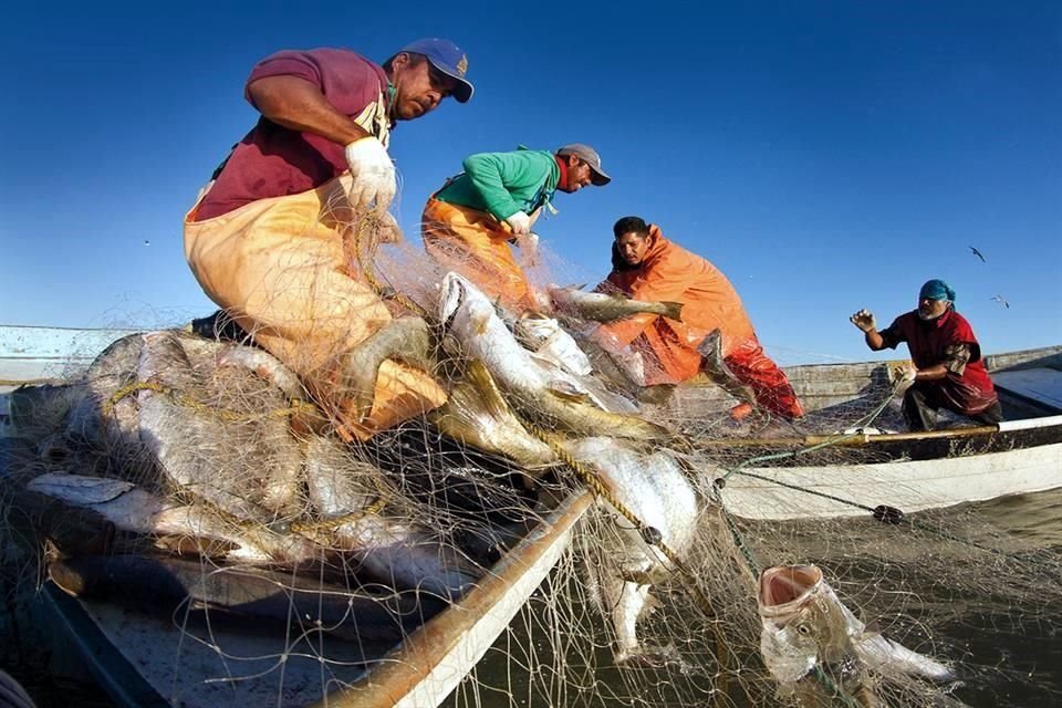 El PNPA 2020-2024 propone aumentar la rentabilidad de pescadores y acuicultores de pequeña escala.