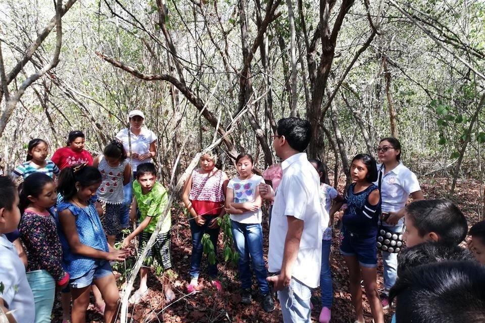 Con una hectárea de selva baja caducifolia y un módulo de atención -de seis que están proyectados-, el Parque de la Ciencia es una iniciativa comunitaria.