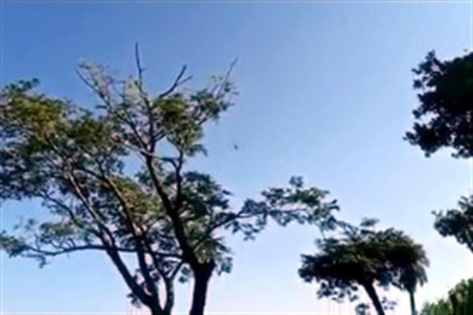 Una persona grabó el momento en que las aeronaves sobrevolaban las comunidades Huerta Vieja y El Aguacate.