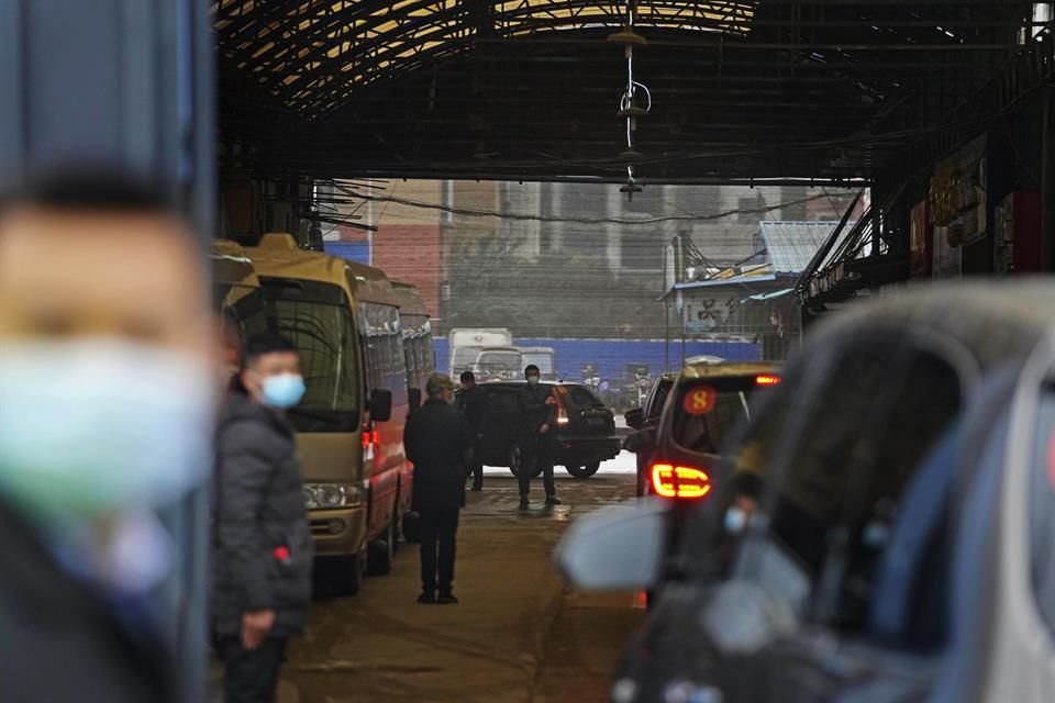 Un convoy de vehículos que transporta al equipo de la OMS ingresa al interior del mercado de mariscos de Huanan, en el tercer día de su visita de campo en Wuhan.