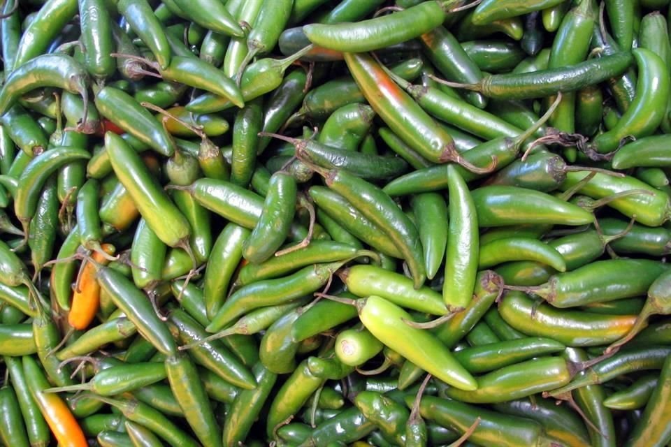 El chile verde se produce durante la mayor parte del año