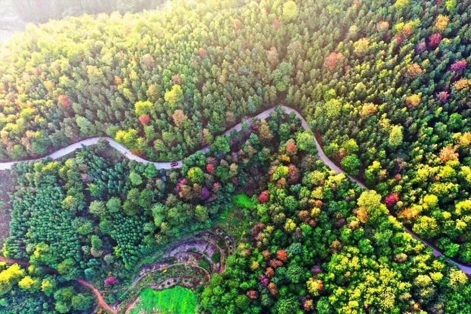 Parque Forestal Nacional de Jiahe, ciudad de Chenzhou, provincia de Hunan, el 11 de noviembre de 2020.