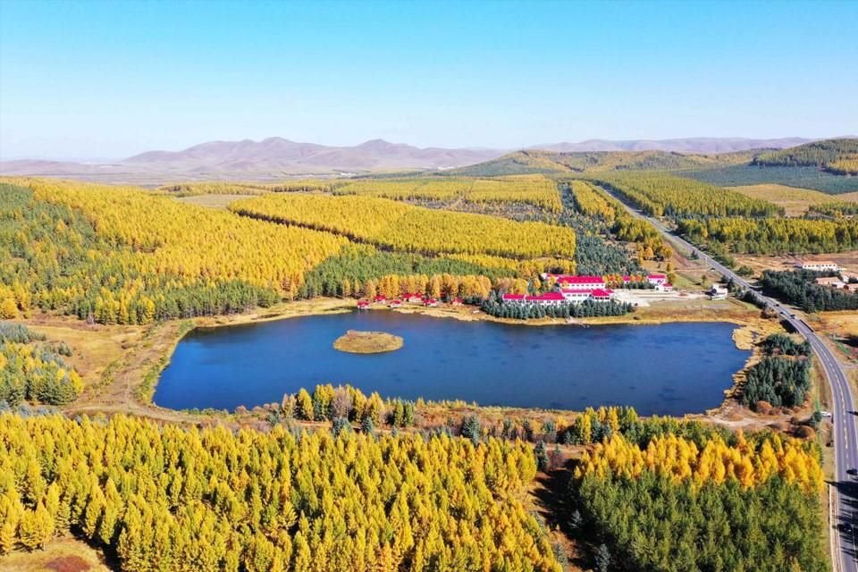 El hermoso paisaje del Parque Forestal Nacional de Saihanba, el 1 de octubre de 2020.