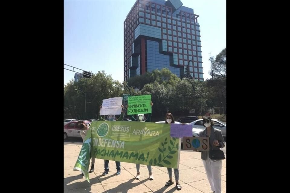 Como parte de la Huelga Global por el Clima, convocada por Greta Thunberg, jvenes protestan en Mxico en contra de la reforma elctrica.