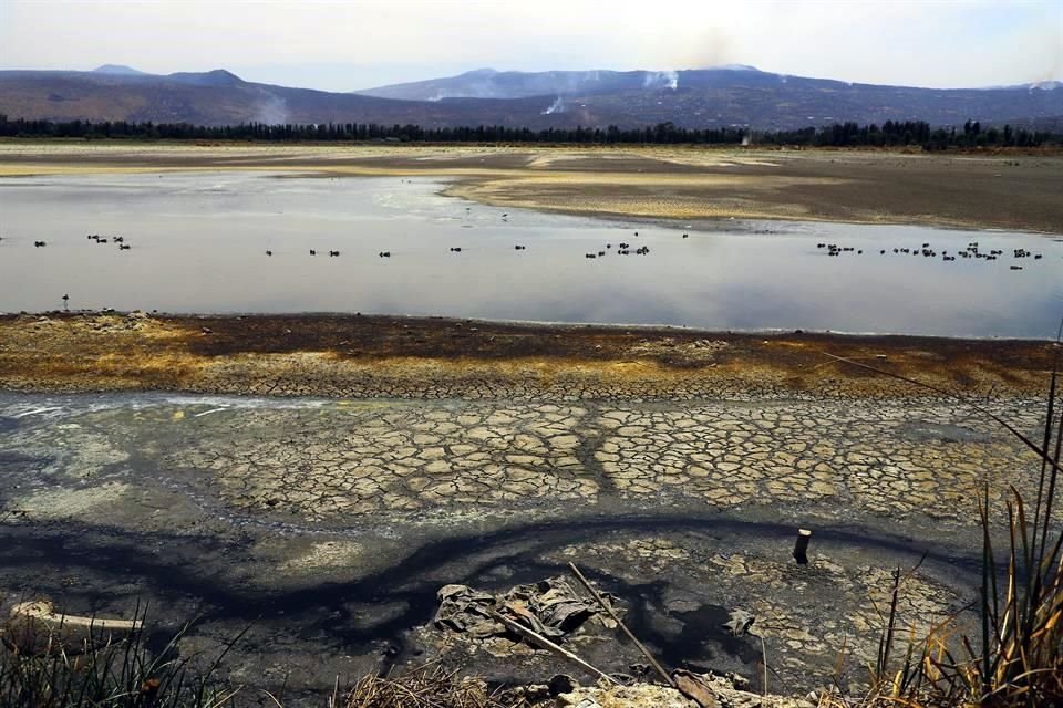 Pese a la intensa sequía en uno de los lagos del Valle de Xico, el Gobierno de CDMX decretó a esta zona como nueva fuente de abastecimiento.