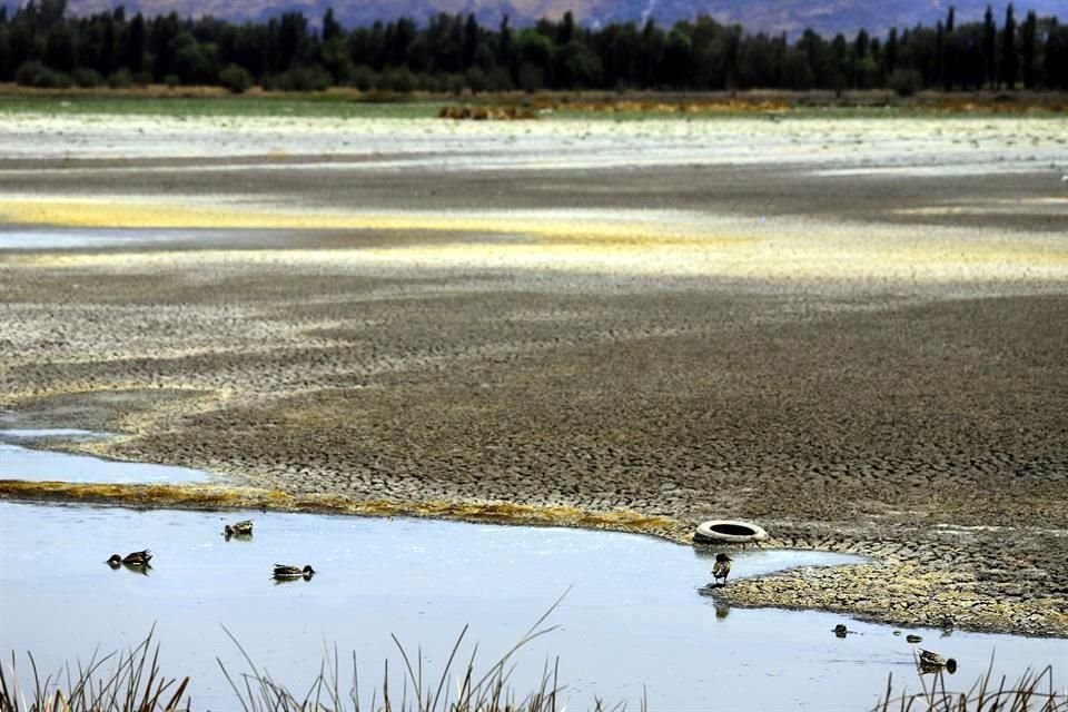 Ante la sequía de los lagos del Valle de Xico, la experta Miriam Alfie señaló la importancia de descentralizar los recursos ambientales y apostar por una educación del agua.