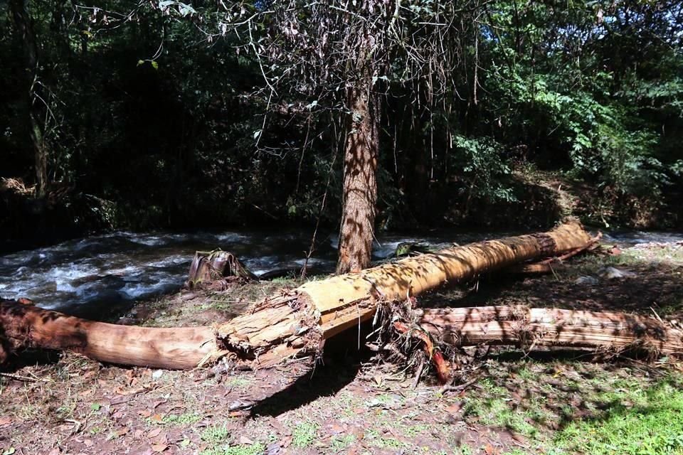 'Es impresionante el impacto ambiental que dejó el desborde de esta presa', dijo un habitante.