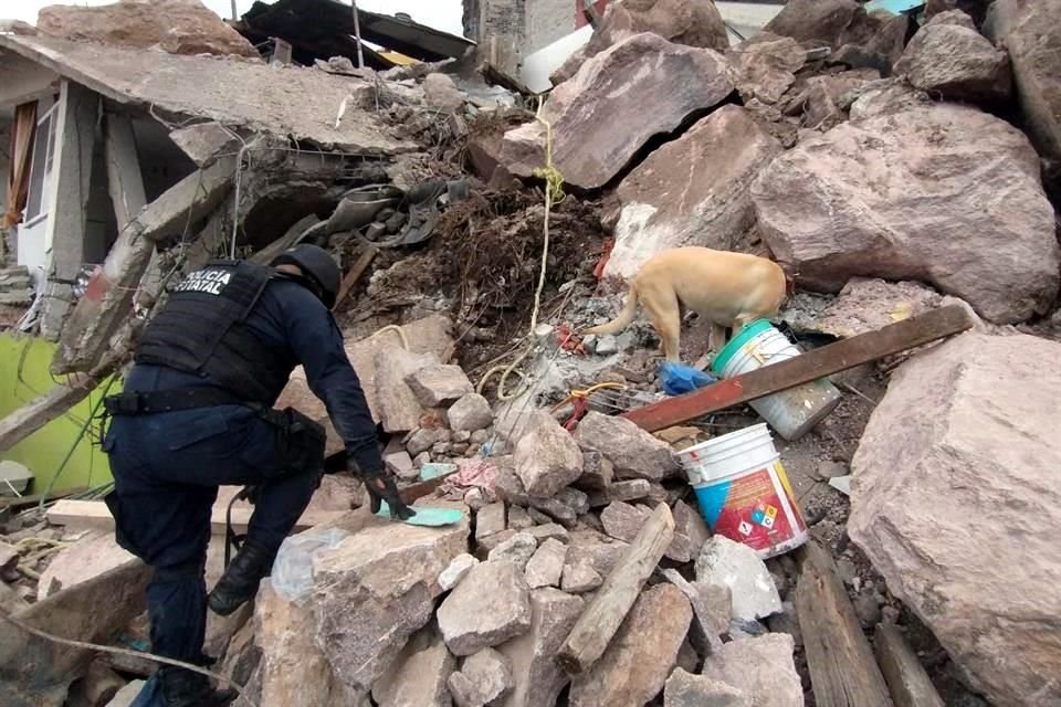 Cuatro binomios caninos de la Secretaría de Seguridad del Estado de México trabajan en las labores de búsqueda y rescate en la zona del cerro del Chiquihuite, en Tlalnepantla.