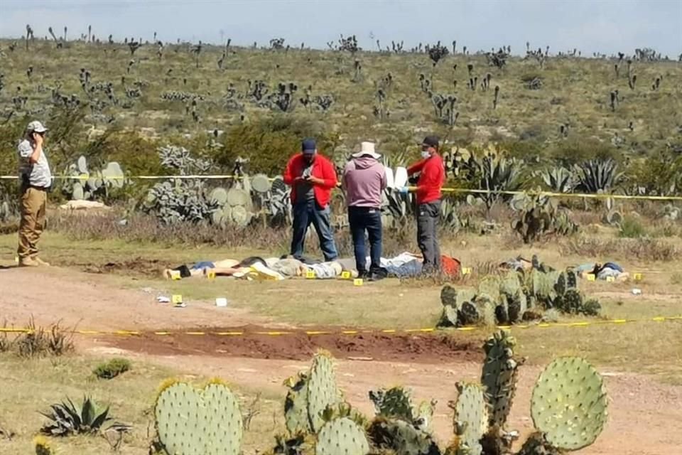 Nueve cadáveres con signos de tortura y maniatados fueron hallados en un terreno en el Municipio de Pinos, en Zacatecas.