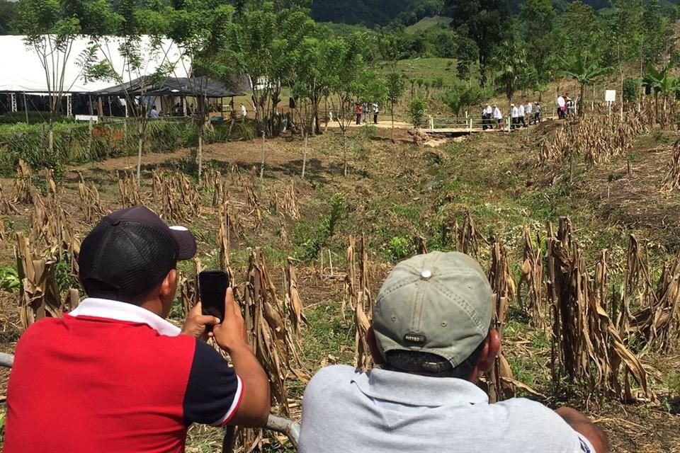 Ante visita de AMLO a Chiapas, campesinos dijeron que ayuda del programa Sembrando Vida no alcanza y por eso gente se sigue yendo a EU.