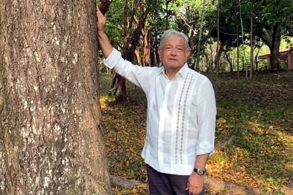 AMLO dijo que propondrá a Biden ampliar Sembrando Vida a CA para ordenar flujo migratorio y un acuerdo que incluya a Canadá y esos países.