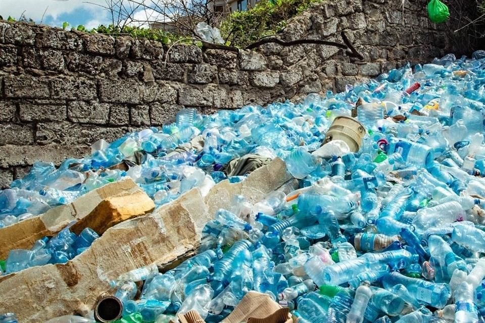 Utilizar productos reutilizables en lugar de plásticos de un solo uso es un consejo para combatir la contaminación durante las vacaciones.