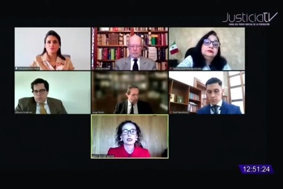 El amparo a la empresa Desart MX fue acordado en sesión remota por videoconferencia.