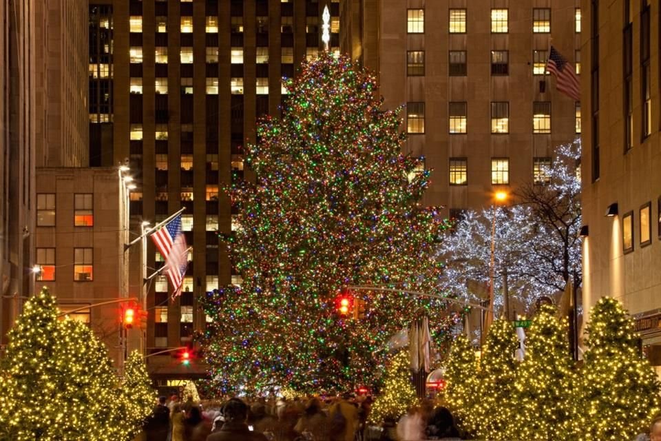 El árbol de Navidad del Centro Rockefeller de 2021 tiene una altura de 24 metros aproximadamente y un peso de 12 toneladas.