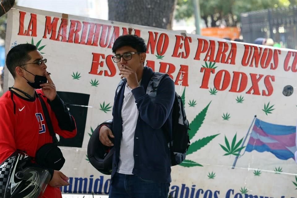 Mientras en otros países el consumo de mariguana avanza, en México el 20 de abril de cada año representa una oportunidad para quienes buscan que se legalice su consumo con fines lúdicos.