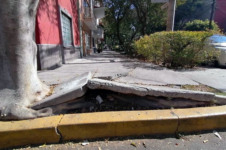 Desde hace aproximadamente cinco meses, trabajadores rompieron las banquetas en la calle Tepic 99, con la finalidad de rehabilitarlas.