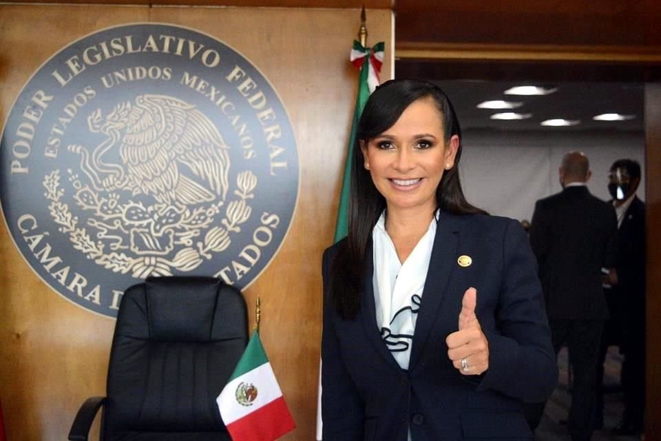 Laura Fernández Piña buscará la candidatura por una alianza de PAN, PRI, PRD y Fuerza por México.