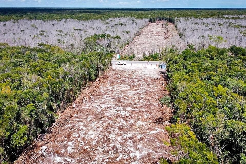 El nuevo trazo del Tren Maya de Cancún a Tulum está provocando una nueva devastación ambiental.