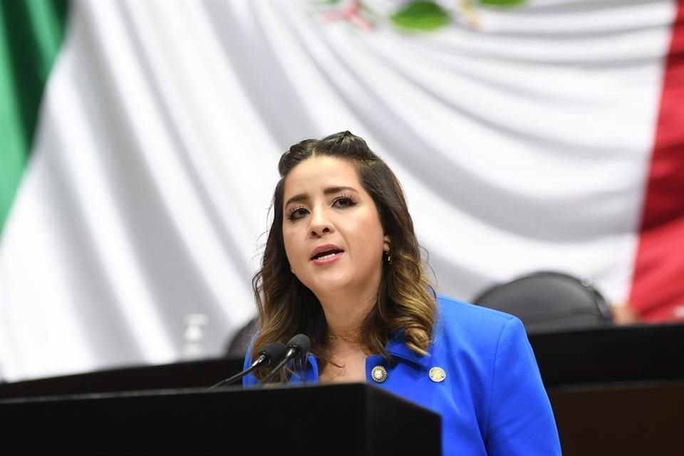 La diputada del PAN promovió una iniciativa que busca eliminar el IVA de los pañales para bebé y adulto.