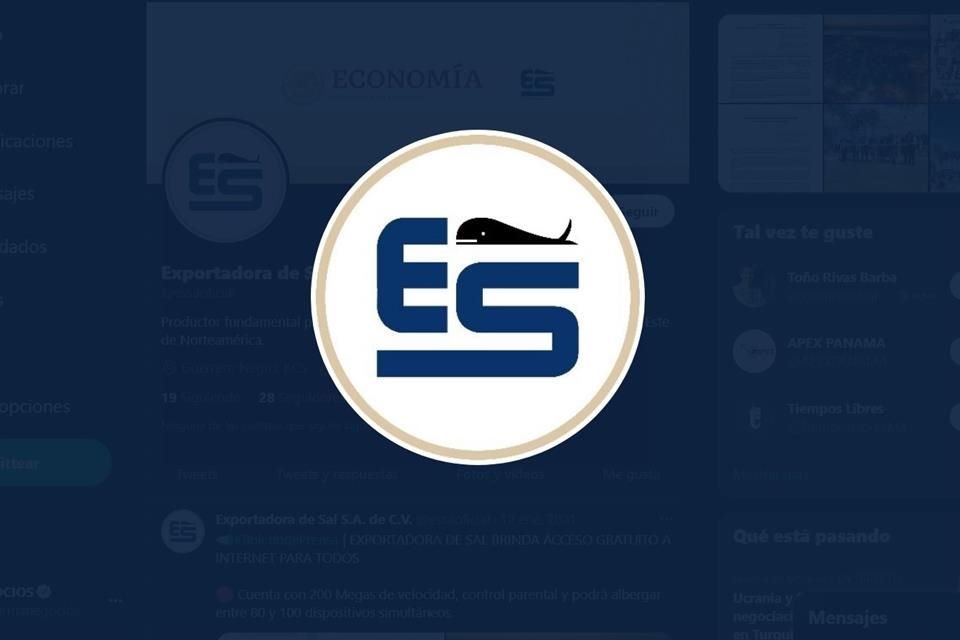 Desde 1976, Exportadora de Sal es una entidad paraestatal de participación estatal mayoritaria.