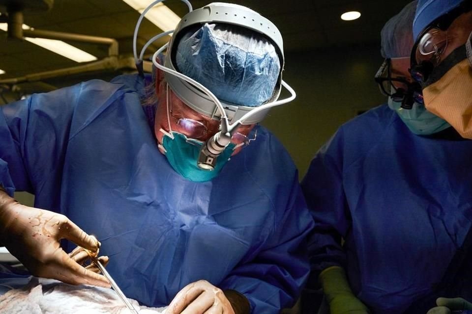 Montgomery y el grupo de expertos del Instituto de Trasplantes Langone de la Universidad de Nueva York durante el primer xenotrasplante de riñón, el pasado 25 de septiembre.