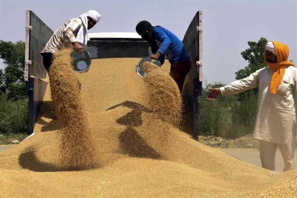 El índice de cereales de la FAO bajó ligeramente un 0.7 por ciento en abril.