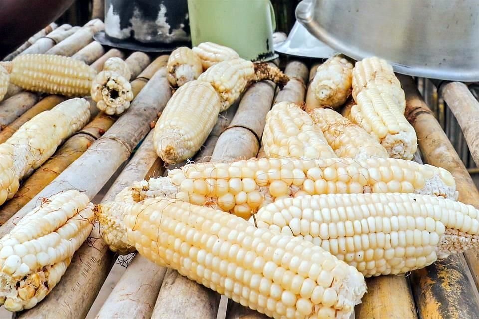 El maíz representa el 40 por ciento de los costos de Gruma.