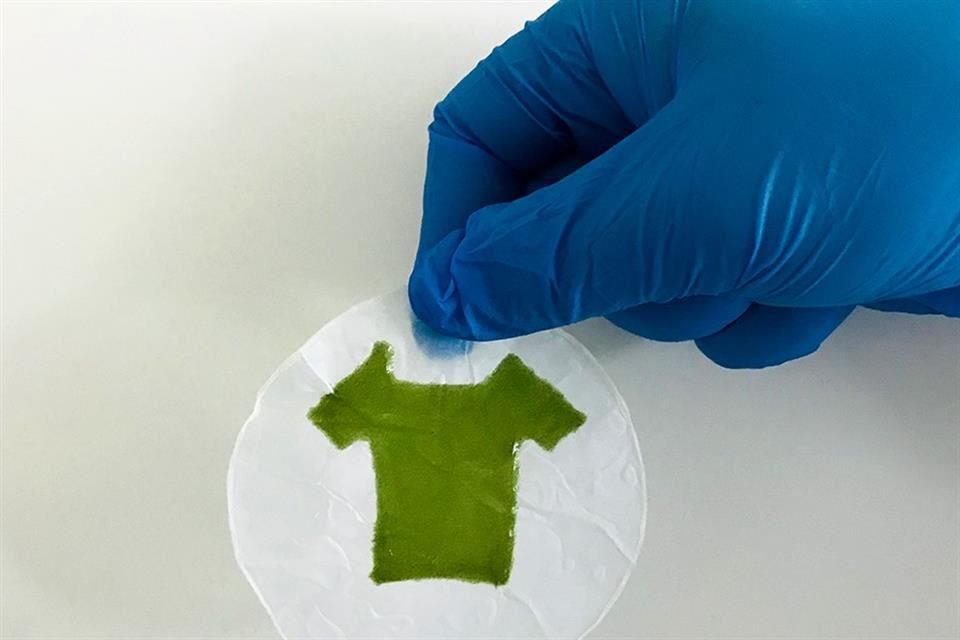 Científicos de EU y los Países Bajos crearon ropa con un nuevo material a partir de algas que puede realizar fotosíntesis, señala estudio.