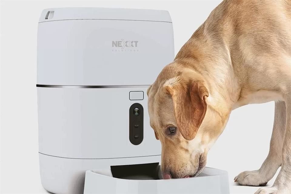 Con el dispositivo inteligente podrás alimentar a tu perro o gato a distancia con las funciones remotas.